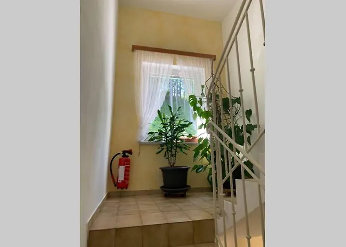 Mit Aussicht In * Bad Ischl